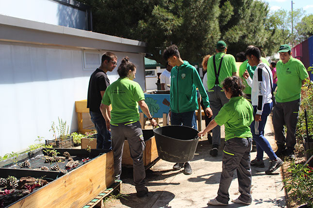 Jóvenes alumnos y alumnas de carpintería colaboran en el montaje de “El huerto del barrio”